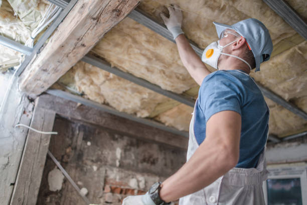 Best DIY Insulation Kits and Guidance in Buckley, WA
