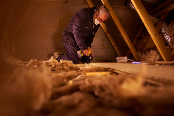 Best Specialized Insulation Services in Buckley, WA